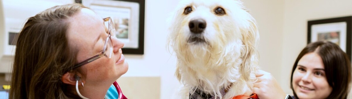 Images Meadowbrook Veterinary Clinic - South
