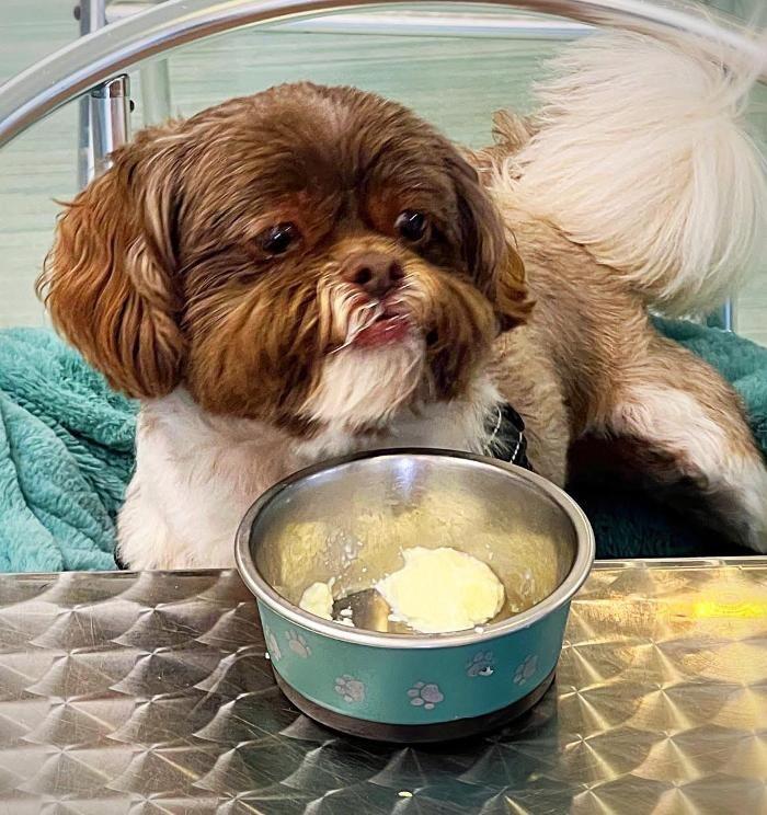 Images Vincent Associates Real Estate