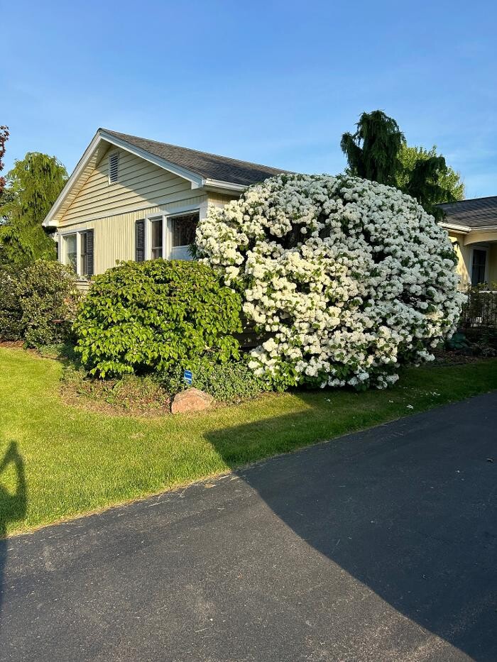 Images Vincent Associates Real Estate