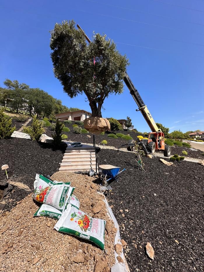 Images Modern Era Landscape Construction Inc.