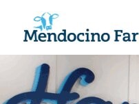 Website Screenshot Mendocino Farms