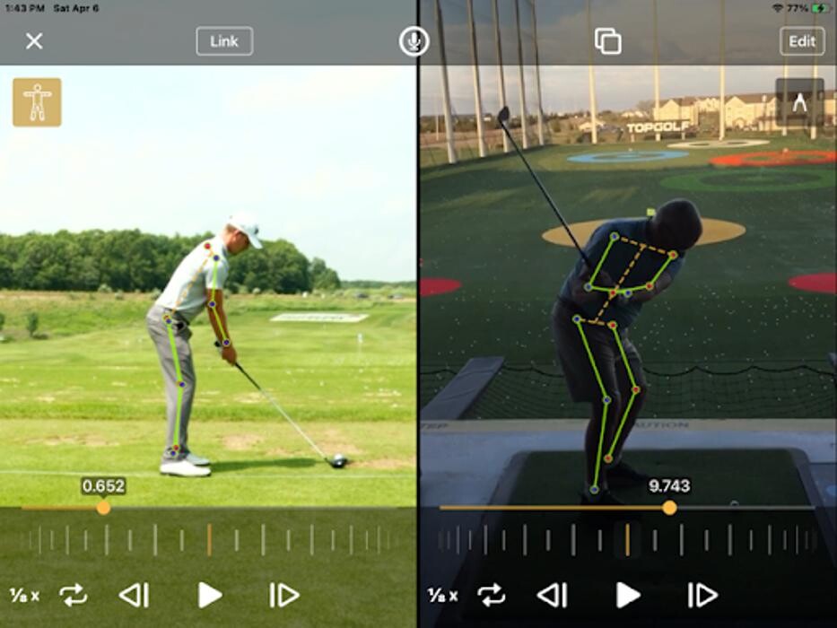Images Coach Bear Golf