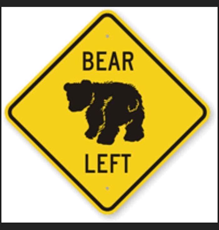 Images Coach Bear Golf