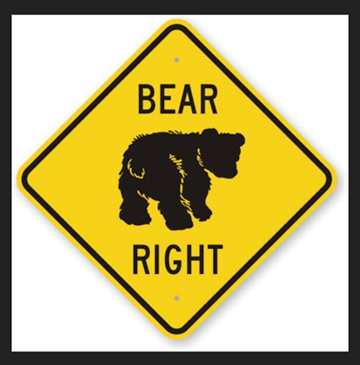 Images Coach Bear Golf