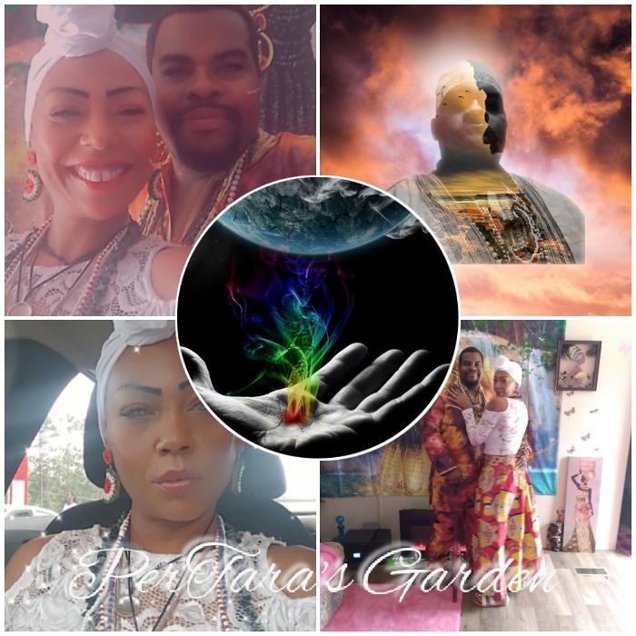 Images Sea Moss Me Now