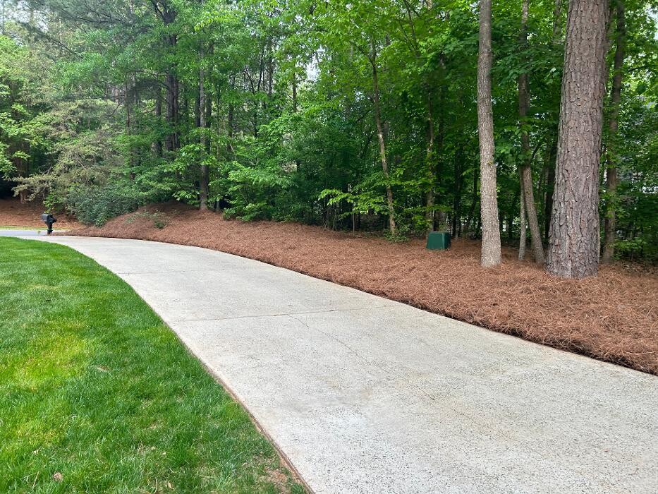 Images The Pine Needle Man Landscaping LLC