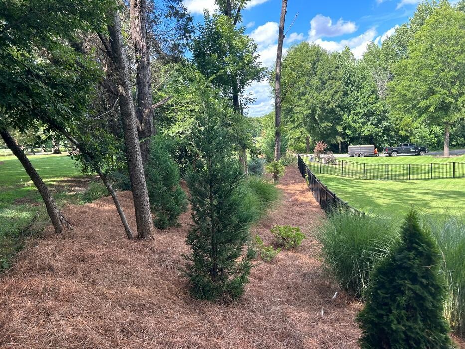 Images The Pine Needle Man Landscaping LLC
