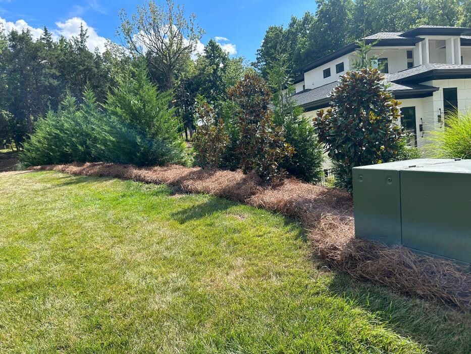 Images The Pine Needle Man Landscaping LLC