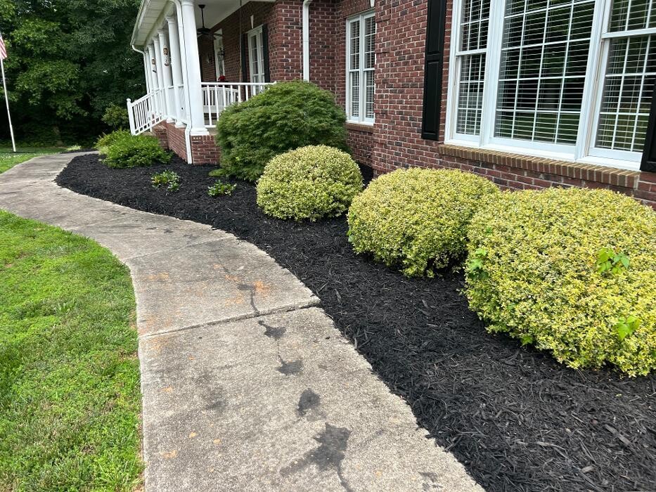 Images The Pine Needle Man Landscaping LLC