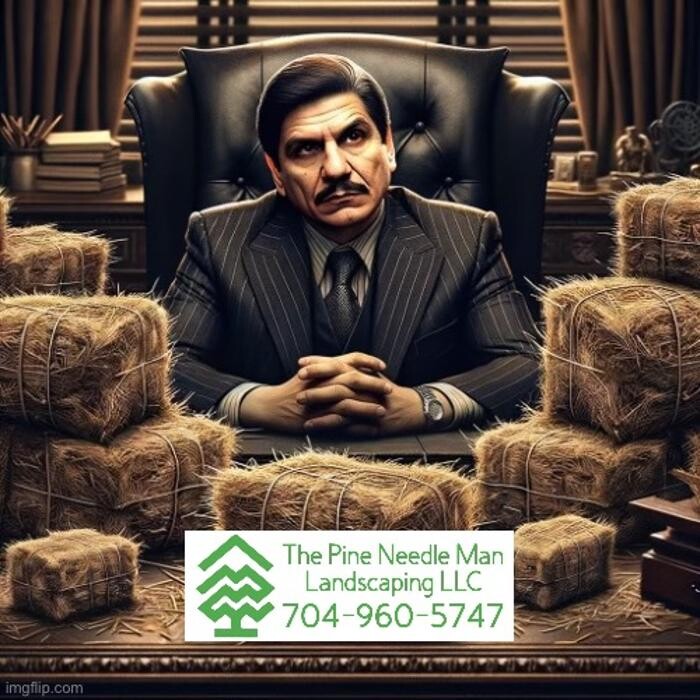 Images The Pine Needle Man Landscaping LLC