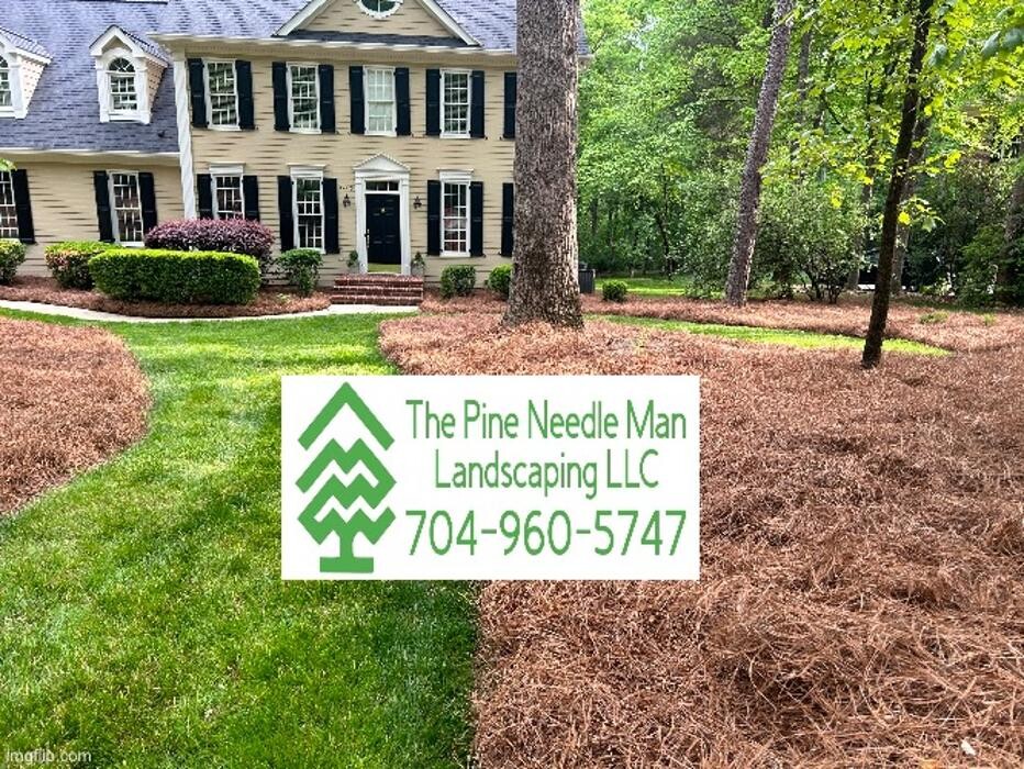 Images The Pine Needle Man Landscaping LLC