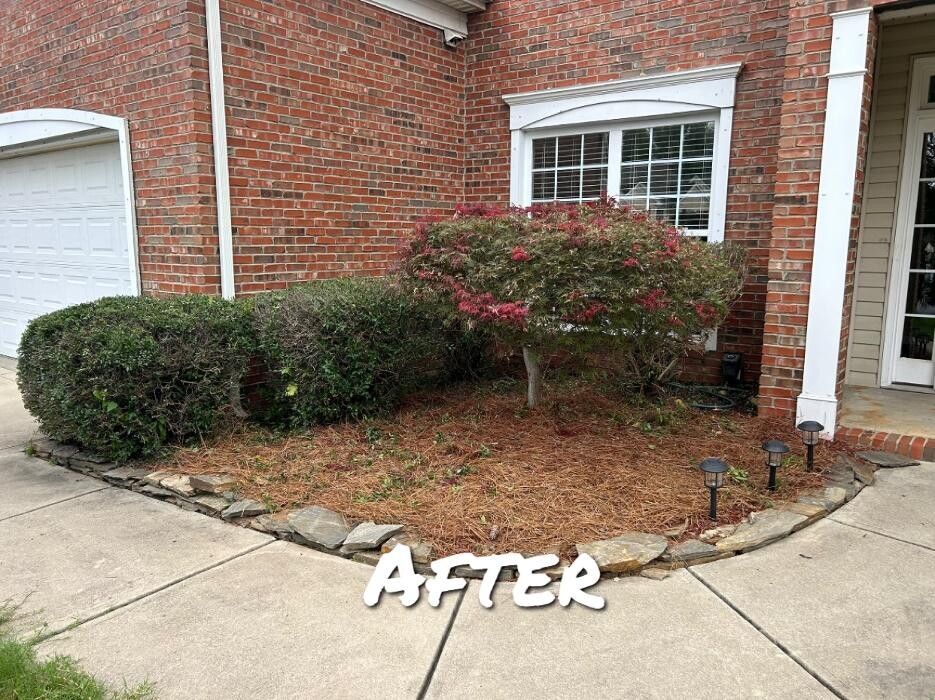 Images The Pine Needle Man Landscaping LLC