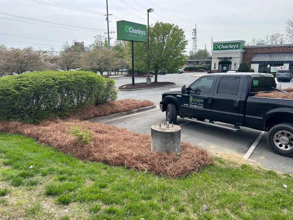 Images The Pine Needle Man Landscaping LLC