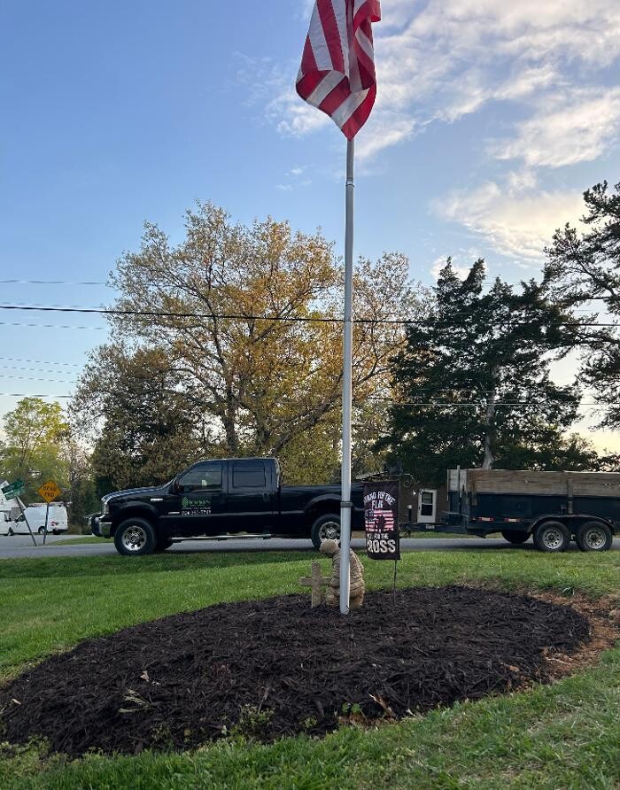 Images The Pine Needle Man Landscaping LLC