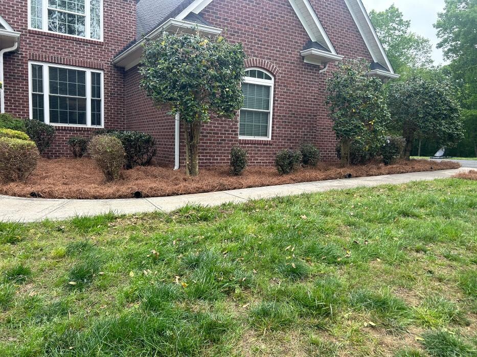 Images The Pine Needle Man Landscaping LLC
