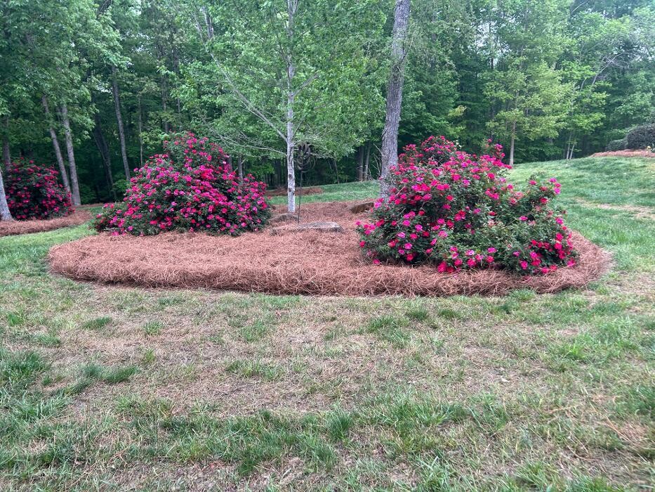 Images The Pine Needle Man Landscaping LLC