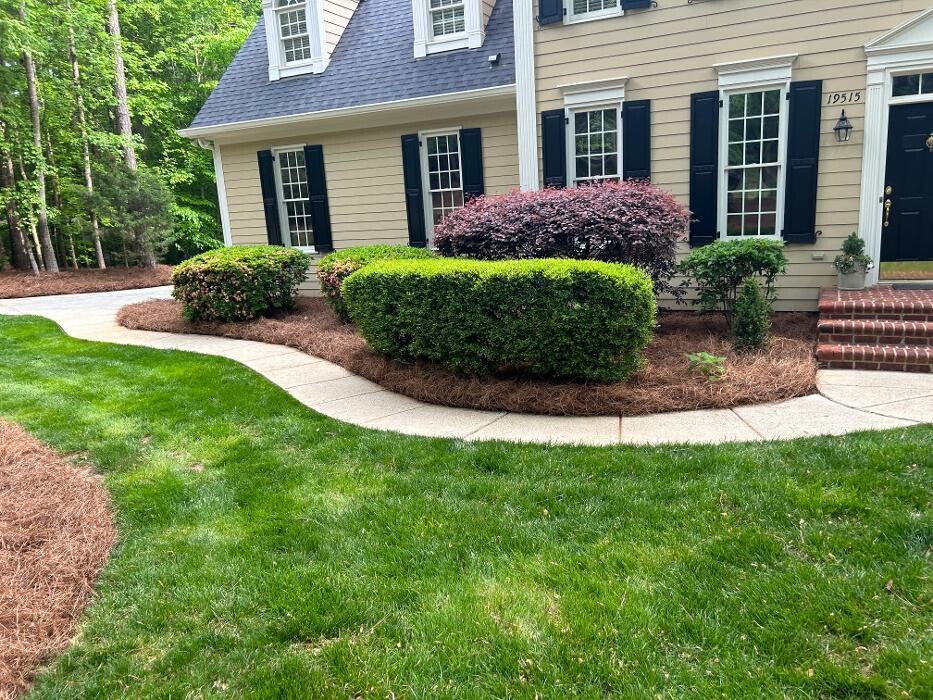 Images The Pine Needle Man Landscaping LLC