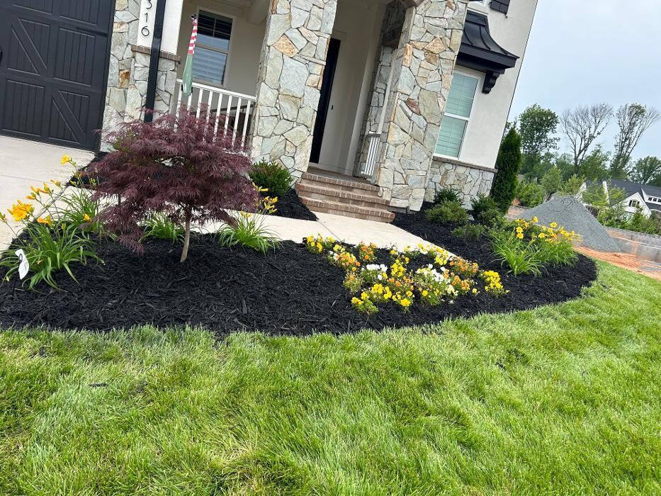 Images The Pine Needle Man Landscaping LLC