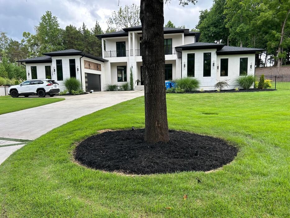 Images The Pine Needle Man Landscaping LLC