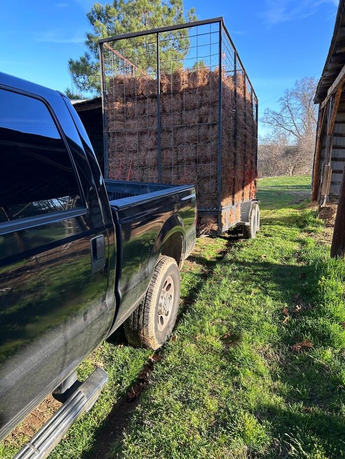 Images The Pine Needle Man Landscaping LLC