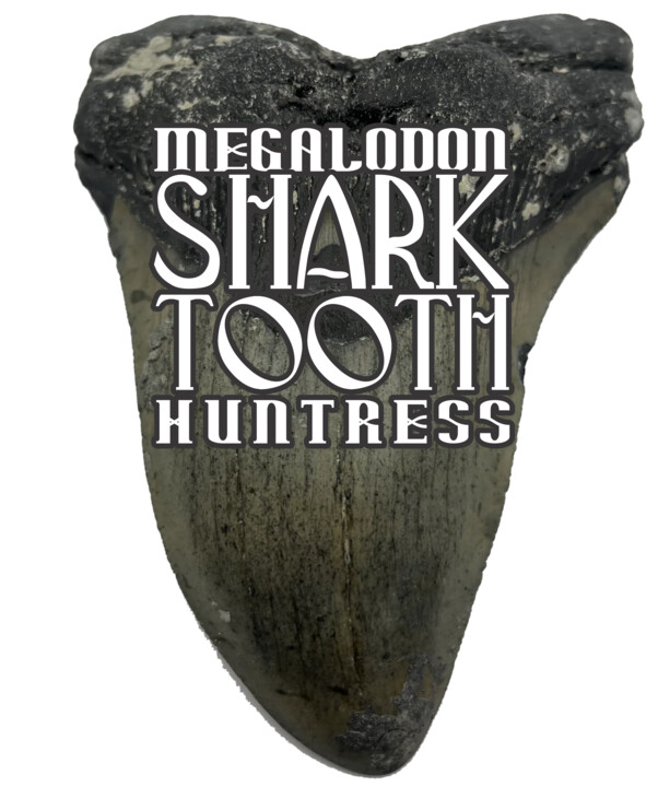 Megalodon Tooth Huntress Logo