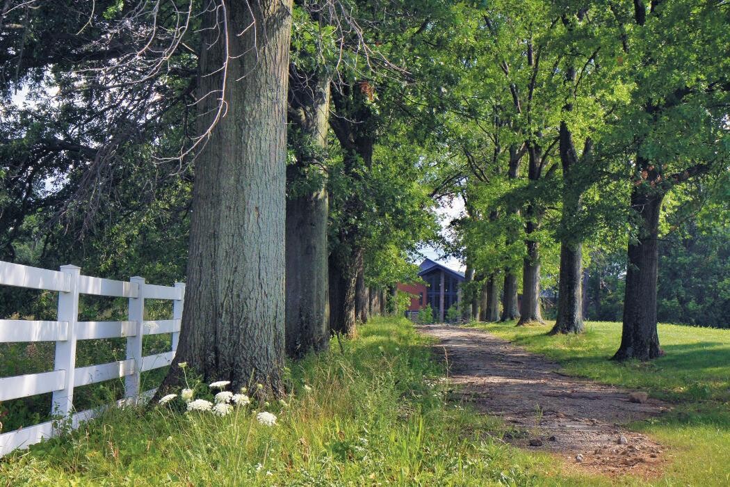 Images Lindner Center of Hope