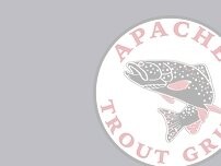 Website Screenshot Apache Trout Grill