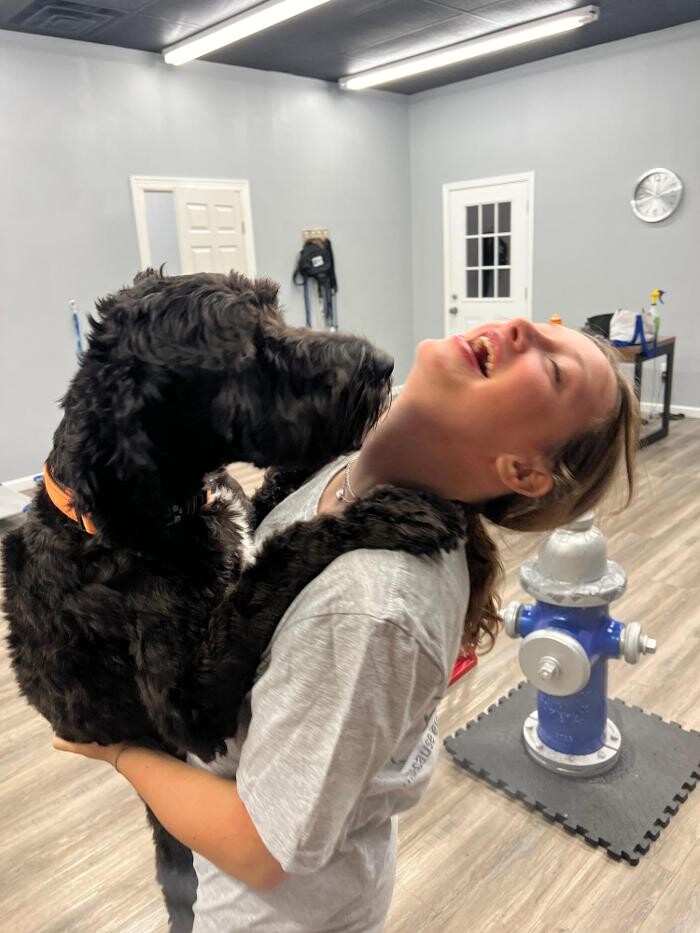 Images Your Dog's Best Days