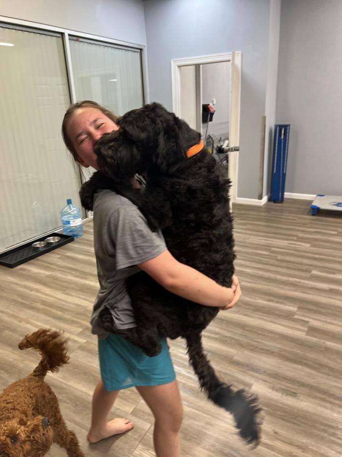 Images Your Dog's Best Days