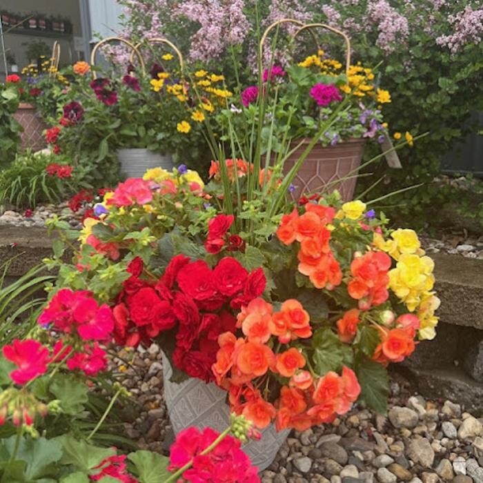 Images Blanchard's Blossoms and Garden Center