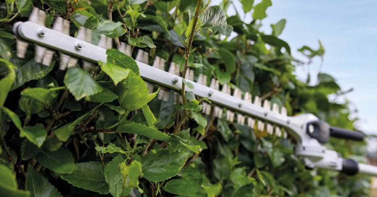 Images Fullerton Ace Hardware