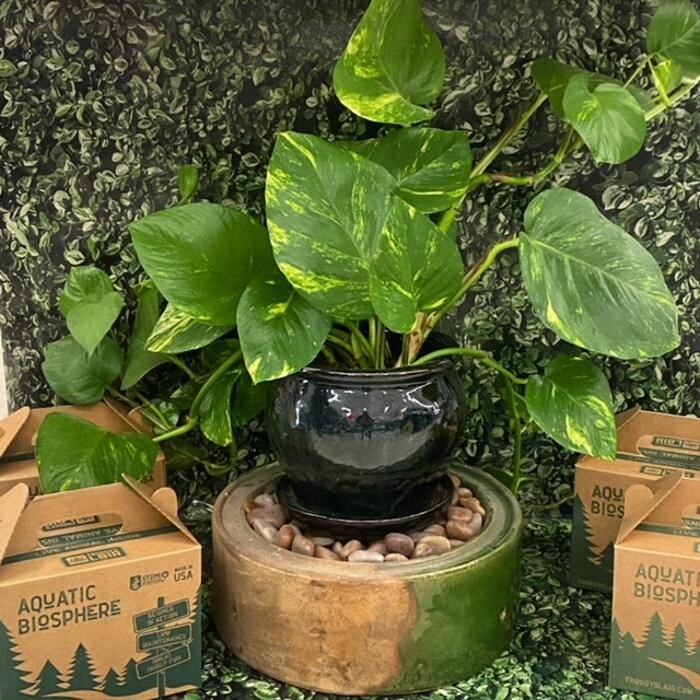 Images Fullerton Ace Hardware