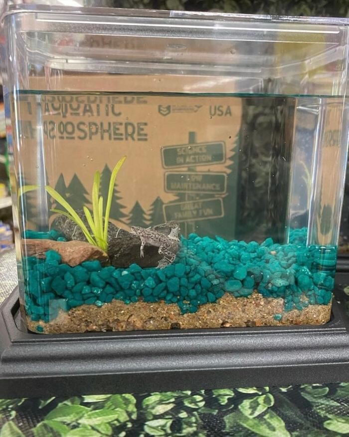 Images Fullerton Ace Hardware