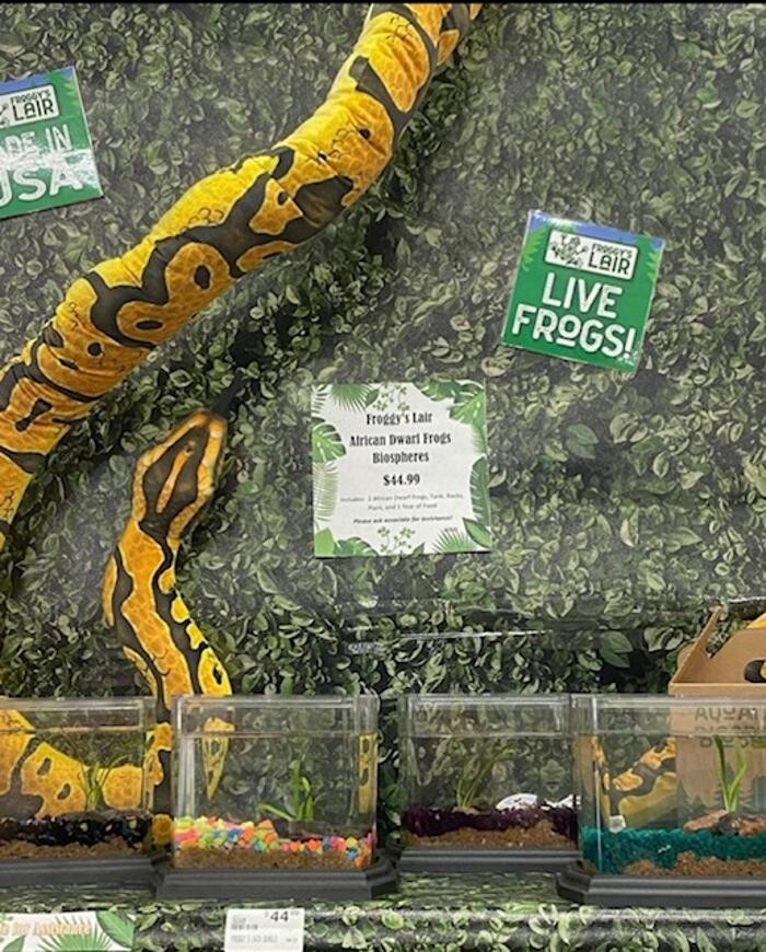 Images Fullerton Ace Hardware