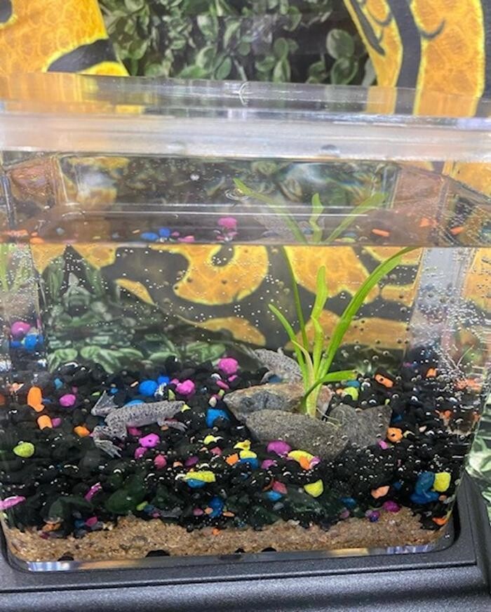 Images Fullerton Ace Hardware