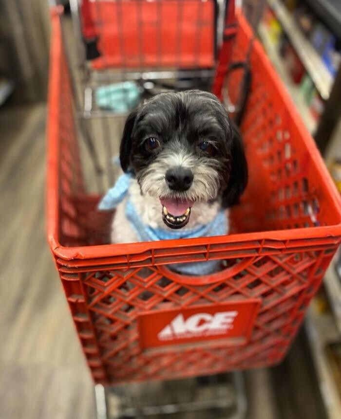 Images Fullerton Ace Hardware