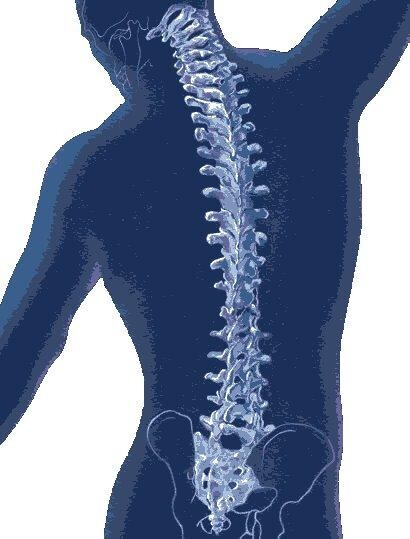 Commack Chiropractic Care Logo