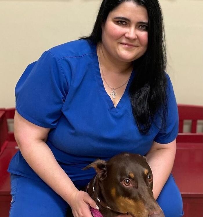 Images Towne Center Animal Hospital and Pet Hotel