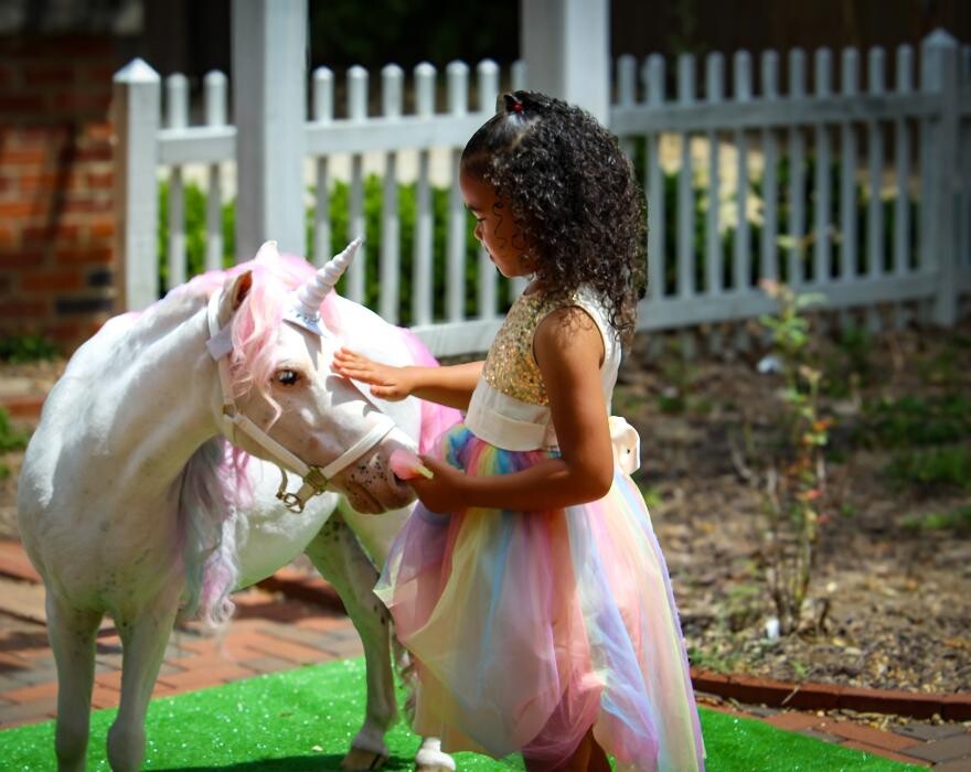 Images Simply Magical Ponies LLC