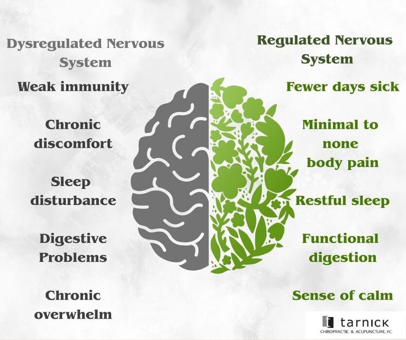 Images Tarnick Chiropractic & Acupuncture PC - Chiropractor in Lincoln NE