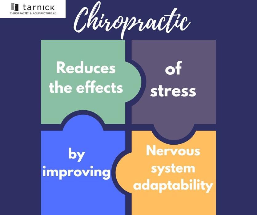 Images Tarnick Chiropractic & Acupuncture PC - Chiropractor in Lincoln NE