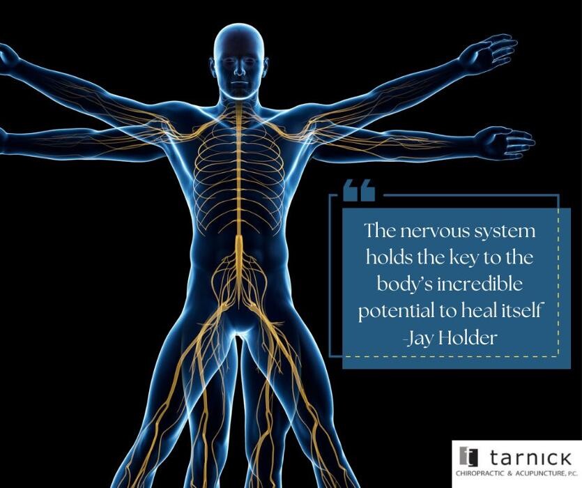 Images Tarnick Chiropractic & Acupuncture PC - Chiropractor in Lincoln NE