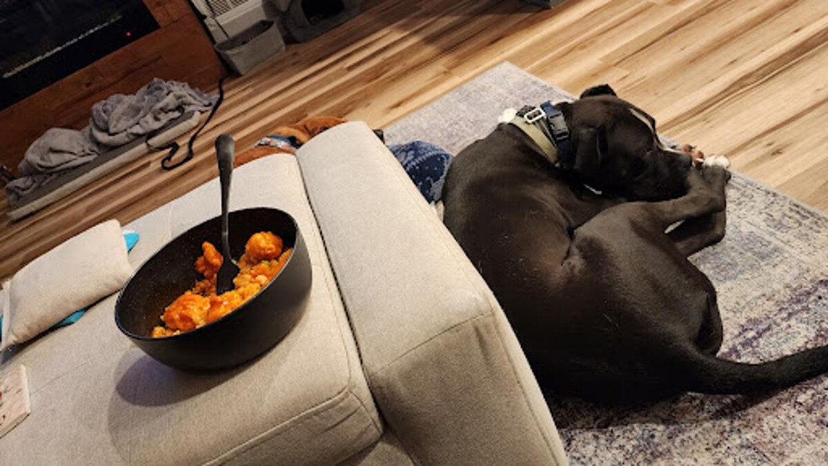 Images Train in Love Dog Training