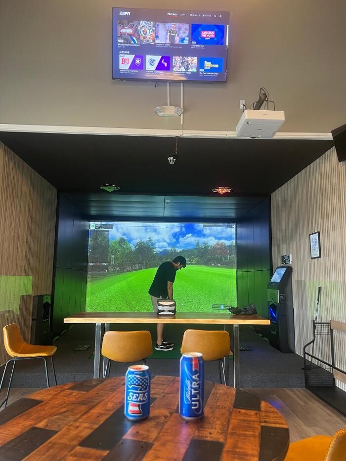 Images Pin Seeker Indoor Golf