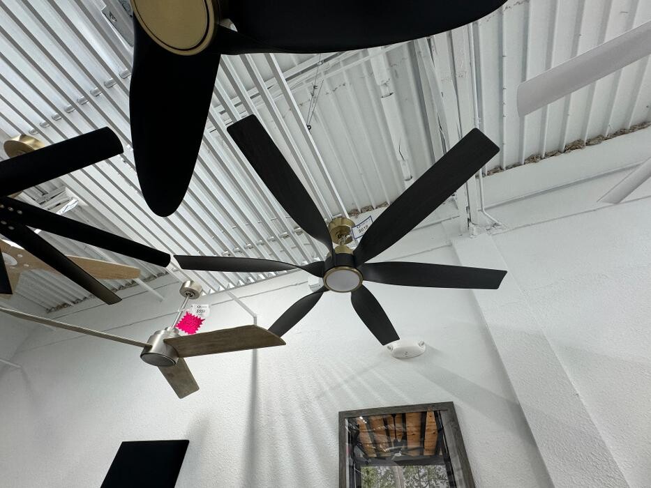 Images Just Fans Venice Showroom