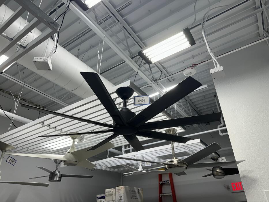 Images Just Fans Venice Showroom