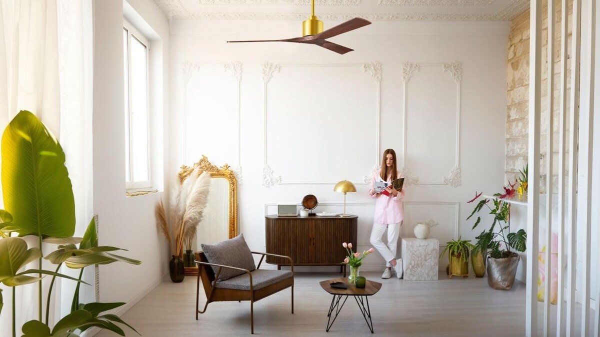 Images Just Fans Venice Showroom