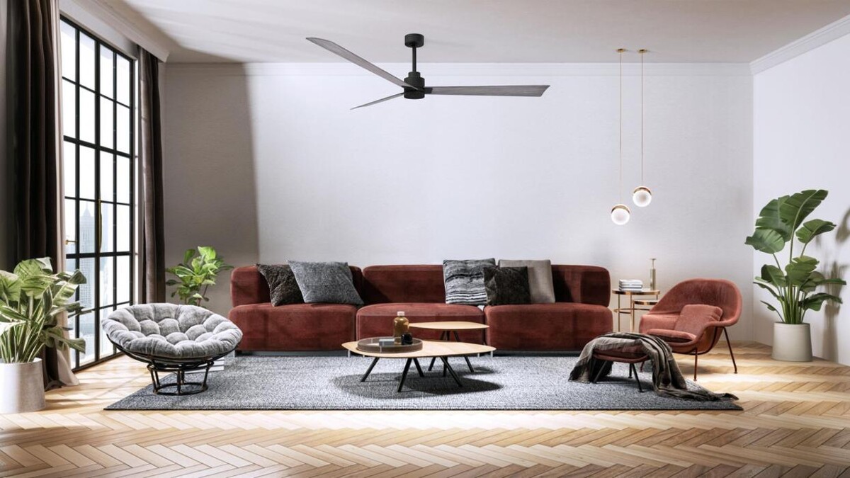 Images Just Fans Venice Showroom