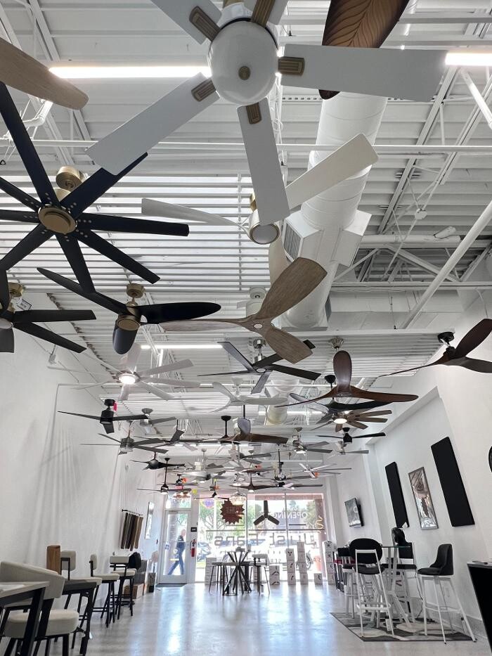 Images Just Fans Venice Showroom