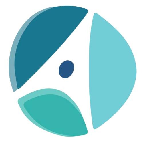 Nerve Health Institute Logo
